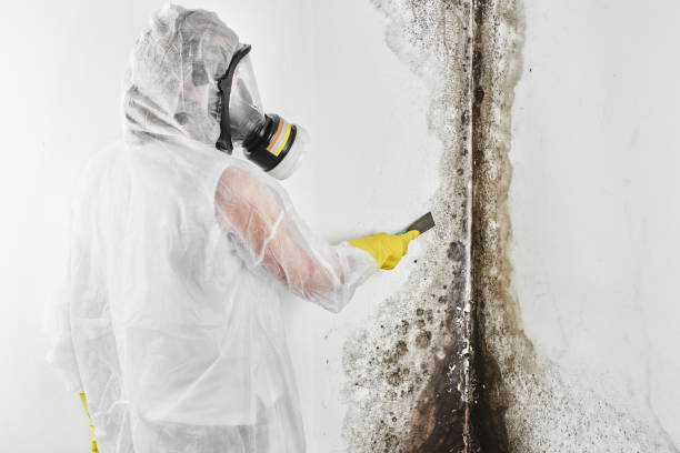 Best Mold Testing  in Clay Center, KS