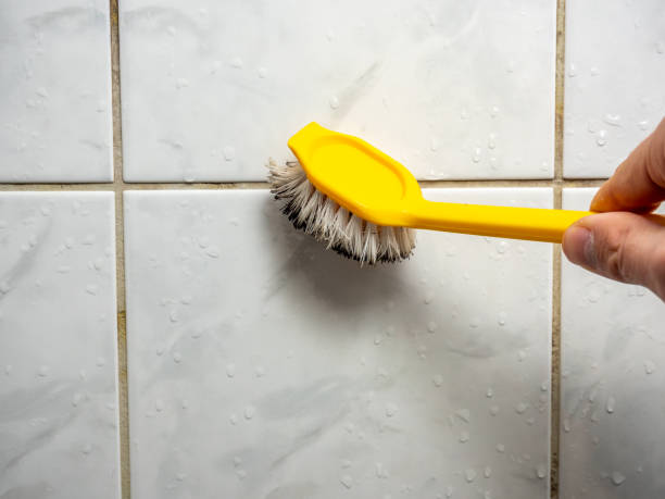 Best Home Mold Removal  in Clay Center, KS