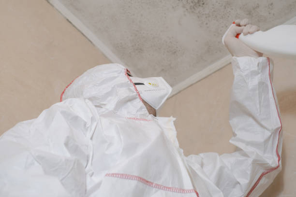 Best Best Mold Removal Companies  in Clay Center, KS