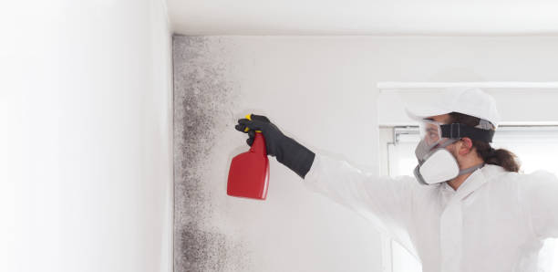 Best Residential Mold Removal  in Clay Center, KS