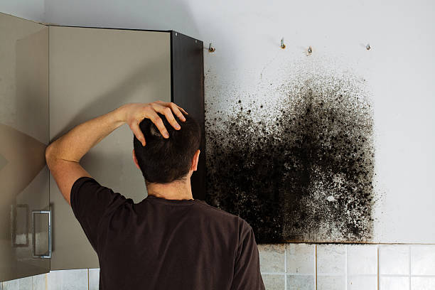 Certified Mold Removal in Clay Center, KS